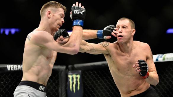 ufc 217 ufc