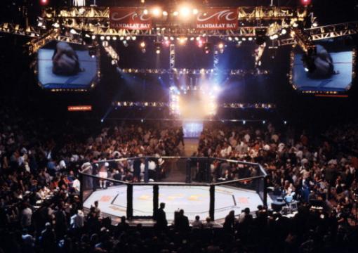 UFC 33 Victory in Vegas