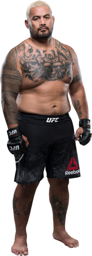 UFC Fight Night: dos Santos vs. Tuivasa Picks