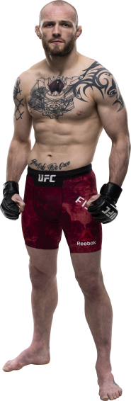 UFC Fight Night: Gustafsson vs. Smith Picks