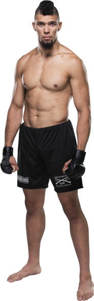 UFC Fight Night: Magny vs. Ponzinibbio Picks
