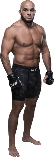 UFC 232: Gustafsson vs. Jones II Picks