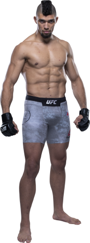 UFC Fight Night: Assuncao vs. Moraes II Picks