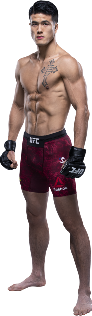 UFC Fight Night: Gustafsson vs. Smith Picks