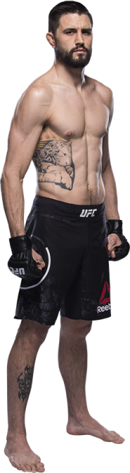 UFC 232: Gustafsson vs. Jones II Picks