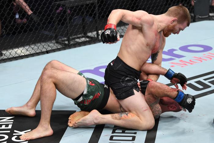 NEW YORK, NY - NOVEMBER 03: Matt Frevola (top) punches Lando Vannata in their lightweight bout during the UFC 230 event inside Madison Square Garden on November 3, 2018 in New York, New York. (Photo by Jeff Bottari/Zuffa LLC via Getty Images)