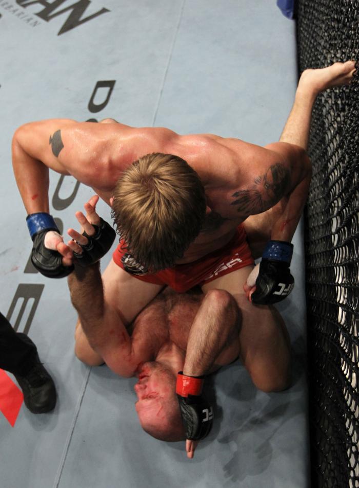 UFC 133: Hamill vs. Gustafsson