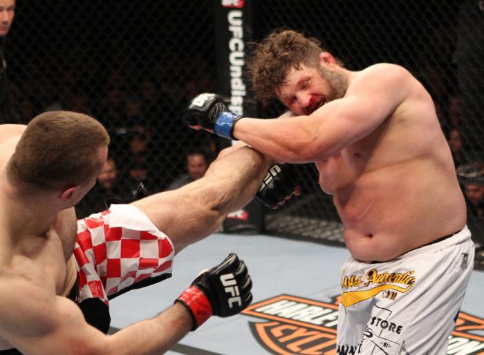 Mirko Cro Cop vs Roy Nelson