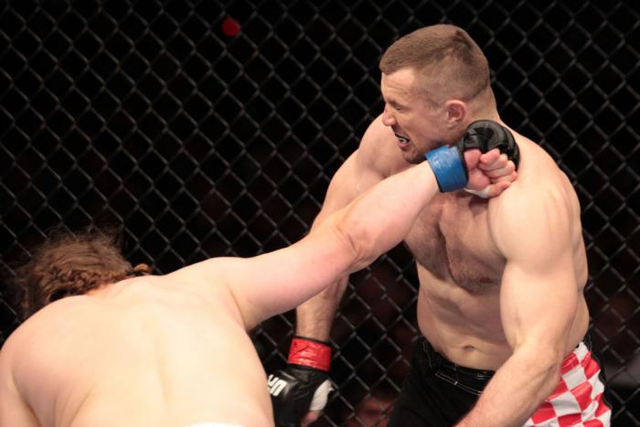Mirko Cro Cop vs Roy Nelson