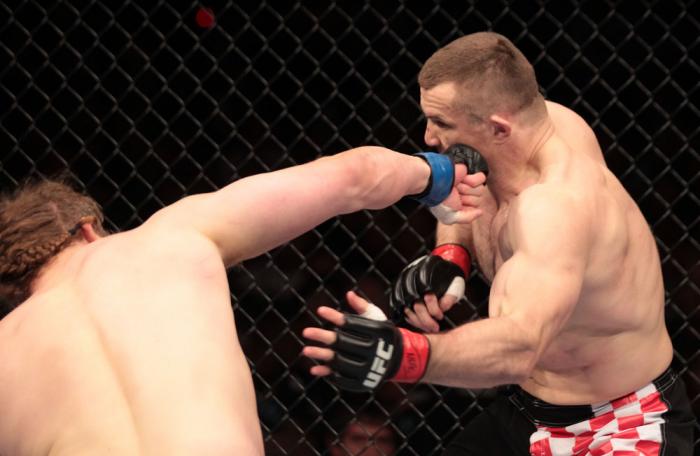 Mirko Cro Cop vs Roy Nelson