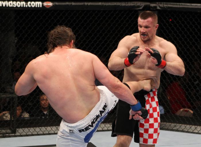 Mirko Cro Cop vs Roy Nelson