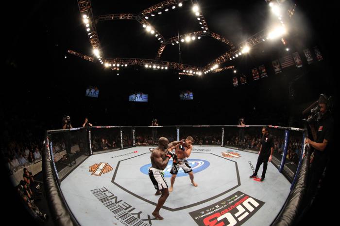 Cheick Kongo vs Matt Mitrione