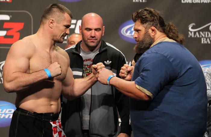 Mirko Cro Cop vs Roy Nelson