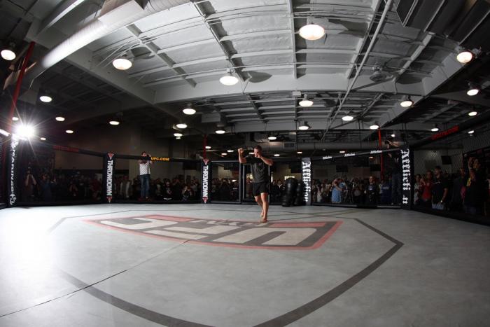 Cain Velasquez