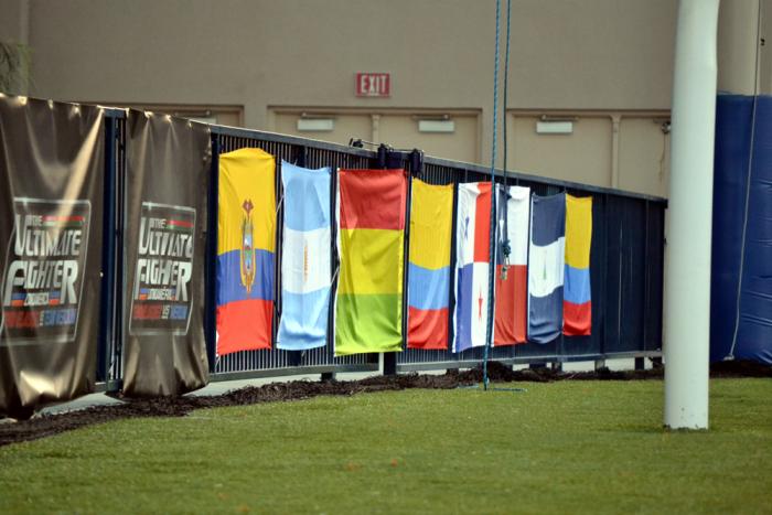 Las banderas de Latinoamérica también presentes para apoyar al Team Werdum