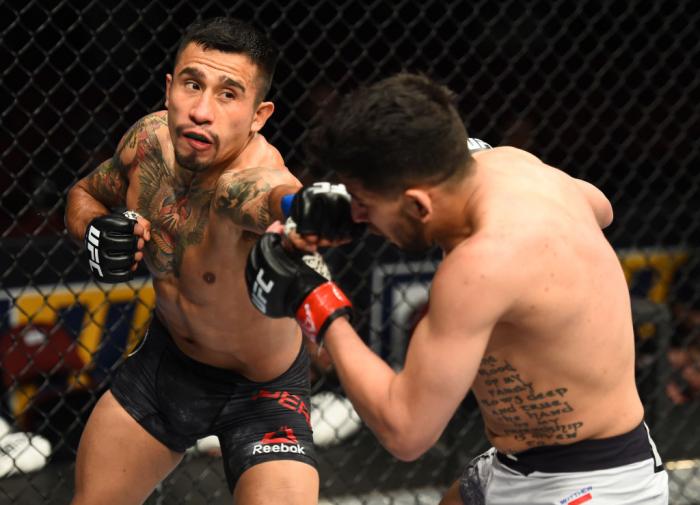 GLENDALE, AZ - APRIL 14: (L-R) Alejandro Perez of Mexico punches Matthew Lopez in their bantamweight fight during the UFC Fight Night event at the Gila Rivera Arena on April 14, 2018 in Glendale, Arizona. (Photo by Josh Hedges/Zuffa LLC/Zuffa LLC via Get