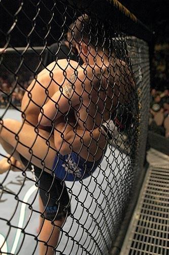 UFC 51 Event Tanner vs. Terrell