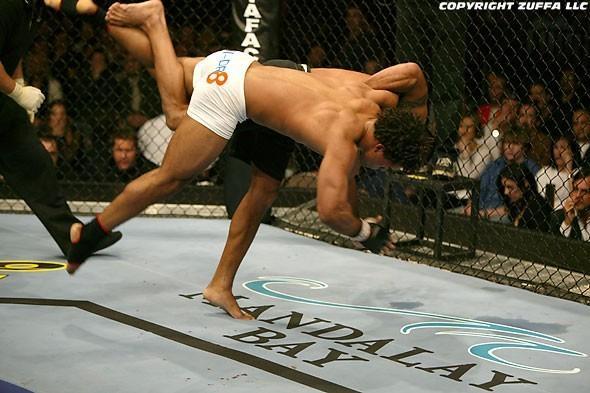 UFC 46 Event Carlos Newton vs. Verissimo