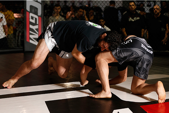 SYDNEY, AUSTRALIA - NOVEMBER 05: Anthony Perosh of Australia holds an open training session for media at the UFC Gym Sydney on November 5, 2014 in Sydney, Australia. (Photo by Josh Hedges/Zuffa LLC/Zuffa LLC via Getty Images)