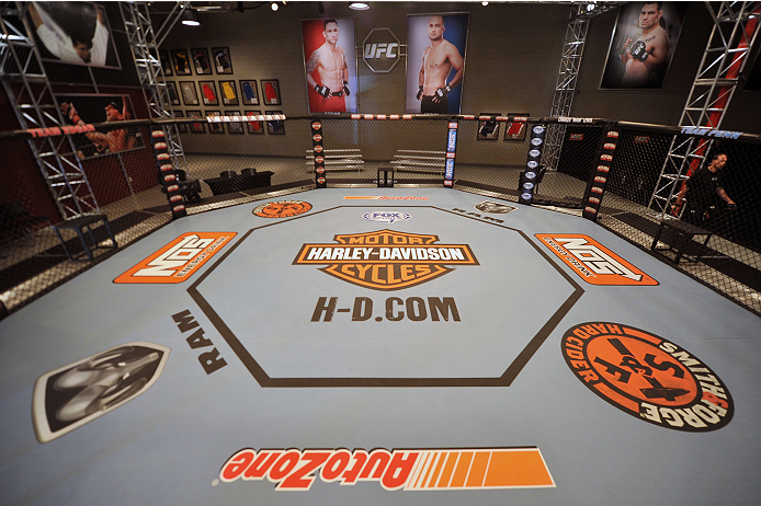 LAS VEGAS, NV - OCTOBER 24: A general view of the TUF gym Octagon during filming of season nineteen of The Ultimate Fighter on October 24, 2013 in Las Vegas, Nevada. (Photo by Jeff Bottari/Zuffa LLC/Zuffa LLC via Getty Images) *** Local Caption ***