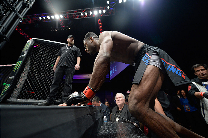 LAS VEGAS, NEVADA - DECEMBER 10: Aljamain Sterling enters the Octagon before his fight against Johnny Eduardo in their bantamweight bout during the UFC Fight Night event at The Chelsea at the Cosmopolitan of Las Vegas on December 10, 2015 in Las Vegas, N