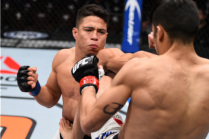 LAS VEGAS, NV - DECEMBER 11: (L-R) Geane Herrera punches Joby Sanchez in their flyweight bout during the TUF Finale event inside The Chelsea at The Cosmopolitan of Las Vegas on December 11, 2015 in Las Vegas, Nevada. (Photo by Jeff Bottari/Zuffa LLC/Zuff