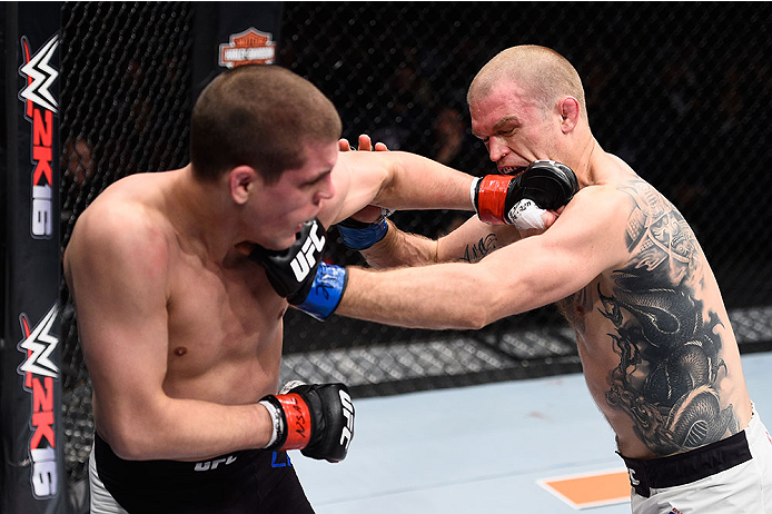 LAS VEGAS, NV - DECEMBER 11: (L-R) Joe Lauzon punches Evan Dunham in their lightweight bout during the TUF Finale event inside The Chelsea at The Cosmopolitan of Las Vegas on December 11, 2015 in Las Vegas, Nevada. (Photo by Jeff Bottari/Zuffa LLC/Zuffa