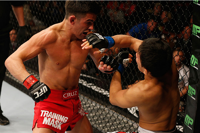 LAS VEGAS, NV - SEPTEMBER 27: (L-R) Dominick Cruz punches Takeya Mizugaki in their bantamweight fight during the UFC 178 event inside the MGM Grand Garden Arena on September 27, 2014 in Las Vegas, Nevada. (Photo by Josh Hedges/Zuffa LLC/Zuffa LLC via Ge