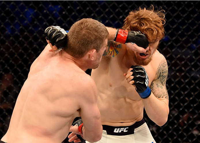 MELBOURNE, AUSTRALIA - NOVEMBER 15: (L-R) Daniel Kelly and Steve Montgomery exchange punches in their middleweight bout during the UFC 193 event at Etihad Stadium on November 15, 2015 in Melbourne, Australia. (Photo by Josh Hedges/Zuffa LLC/Zuffa LLC vi