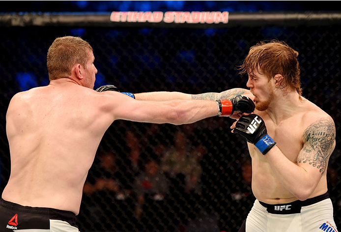 MELBOURNE, AUSTRALIA - NOVEMBER 15: (L-R) Daniel Kelly and Steve Montgomery exchange punches in their middleweight bout during the UFC 193 event at Etihad Stadium on November 15, 2015 in Melbourne, Australia. (Photo by Josh Hedges/Zuffa LLC/Zuffa LLC vi