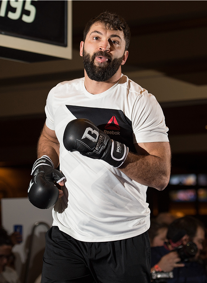 LAS VEGAS, NEVADA - DECEMBER 30: Andrei Arlovski holds an open training session for fans and media at the MGM Grand Hotel/Casino on December 30, 2015 in Las Vegas Nevada. (Photo by Brandon Magnus/Zuffa LLC/Zuffa LLC via Getty Images)