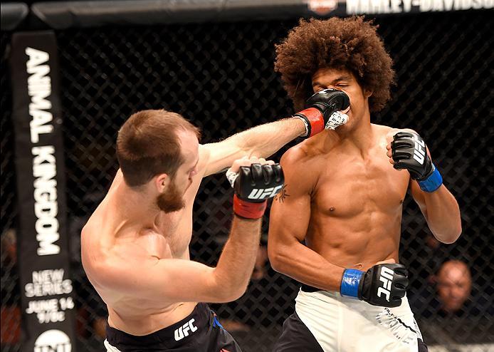 INGLEWOOD, CA - JUNE 04: Cole Miller lands a left punch on Alex Caceres in their featherweight bout during the UFC 199 event at The Forum on June 4, 2016 in Inglewood, California. (Photo by Josh Hedges/Zuffa LLC/Zuffa LLC via Getty Images)