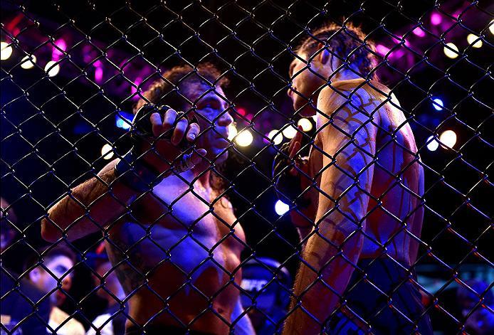 INGLEWOOD, CA - JUNE 04: Brian Ortega talks to Clay Guida after Brian Ortega's TKO win in the third round in their featherweight bout during the UFC 199 event at The Forum on June 4, 2016 in Inglewood, California. (Photo by Harry How/Zuffa LLC/Zuffa LLC
