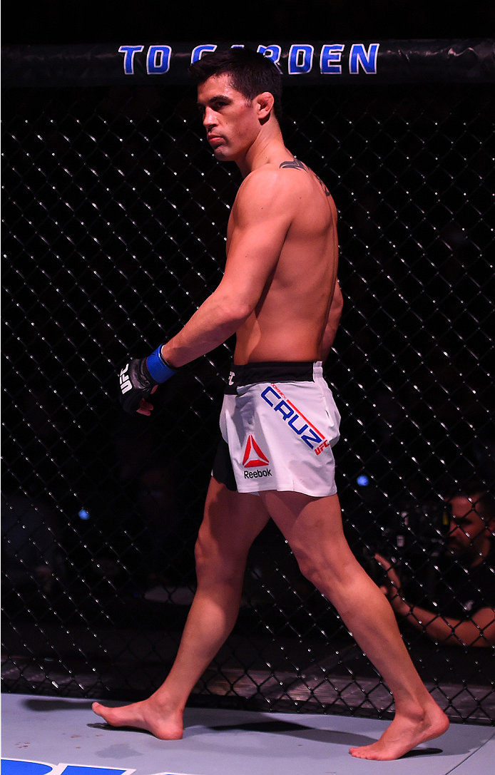 BOSTON, MA - JANUARY 17: Dominick Cruz stands in the Octagon before his UFC bantamweight championship bout against TJ Dillashaw during the UFC Fight Night event inside TD Garden on January 17, 2016 in Boston, Massachusetts. (Photo by Jeff Bottari/Zuffa L