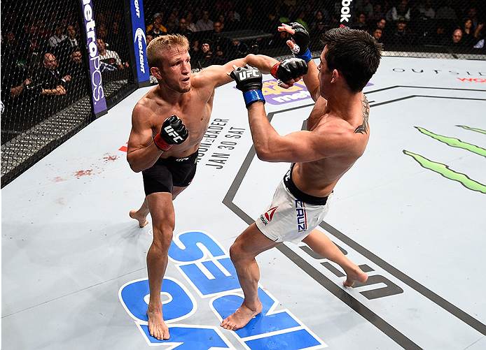 BOSTON, MA - JANUARY 17: (L-R) TJ Dillashaw punches Dominick Cruz in their UFC bantamweight championship bout during the UFC Fight Night event inside TD Garden on January 17, 2016 in Boston, Massachusetts. (Photo by Jeff Bottari/Zuffa LLC/Zuffa LLC via G