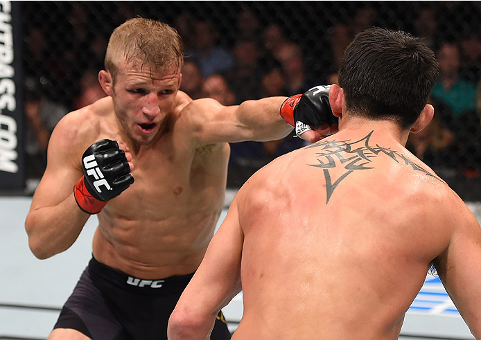 BOSTON, MA - JANUARY 17: (L-R) TJ Dillashaw punches Dominick Cruz in their UFC bantamweight championship bout during the UFC Fight Night event inside TD Garden on January 17, 2016 in Boston, Massachusetts. (Photo by Jeff Bottari/Zuffa LLC/Zuffa LLC via G