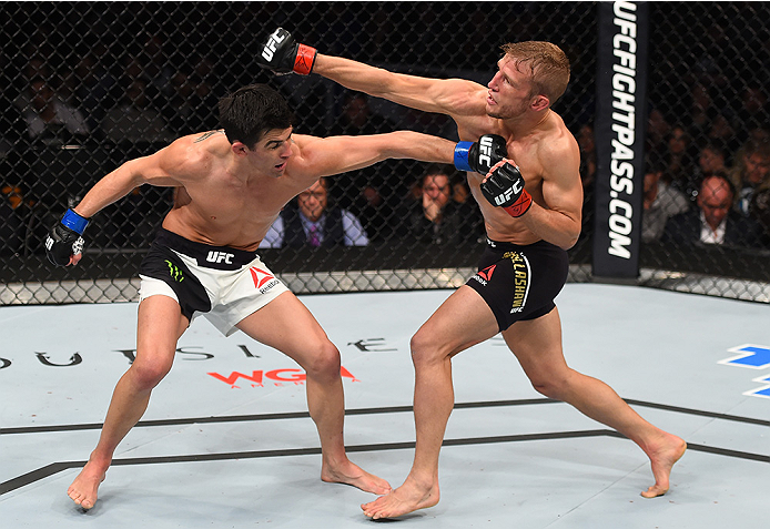 BOSTON, MA - JANUARY 17: (R-L) TJ Dillashaw and Dominick Cruz trade punches in their UFC bantamweight championship bout during the UFC Fight Night event inside TD Garden on January 17, 2016 in Boston, Massachusetts. (Photo by Jeff Bottari/Zuffa LLC/Zuffa