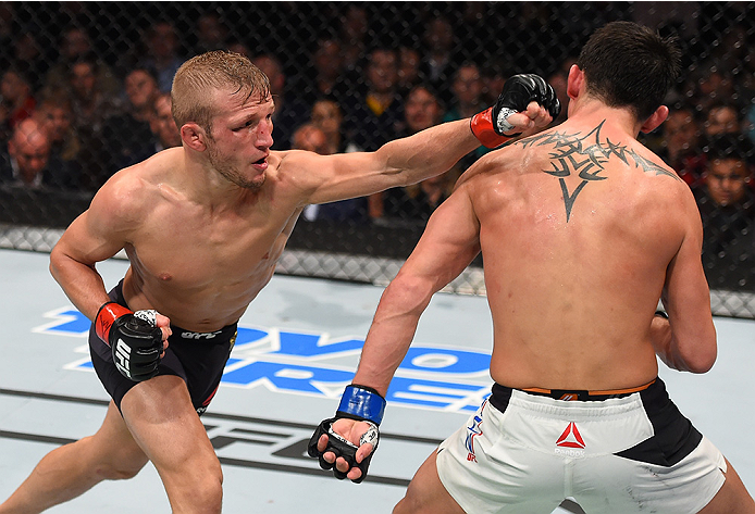 BOSTON, MA - JANUARY 17: (L-R) TJ Dillashaw punches Dominick Cruz in their UFC bantamweight championship bout during the UFC Fight Night event inside TD Garden on January 17, 2016 in Boston, Massachusetts. (Photo by Jeff Bottari/Zuffa LLC/Zuffa LLC via G