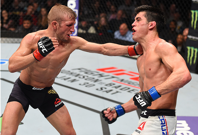 BOSTON, MA - JANUARY 17: (L-R) TJ Dillashaw punches Dominick Cruz in their UFC bantamweight championship bout during the UFC Fight Night event inside TD Garden on January 17, 2016 in Boston, Massachusetts. (Photo by Jeff Bottari/Zuffa LLC/Zuffa LLC via G