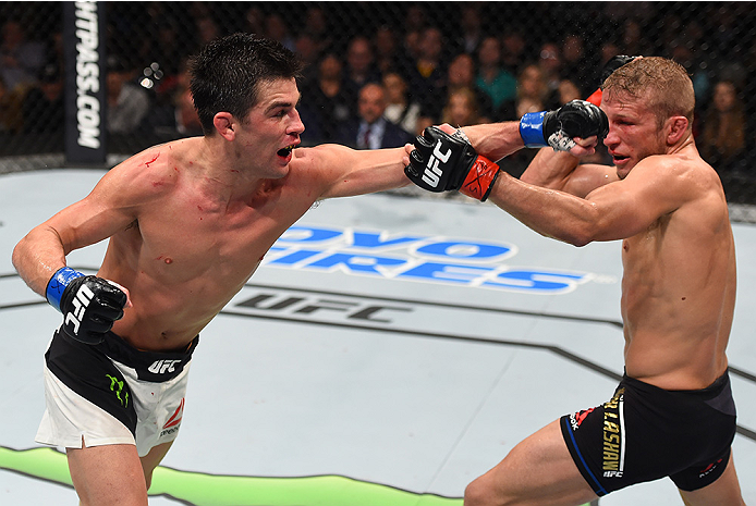 BOSTON, MA - JANUARY 17: (L-R) Dominick Cruz punches TJ Dillashaw in their UFC bantamweight championship bout during the UFC Fight Night event inside TD Garden on January 17, 2016 in Boston, Massachusetts. (Photo by Jeff Bottari/Zuffa LLC/Zuffa LLC via G
