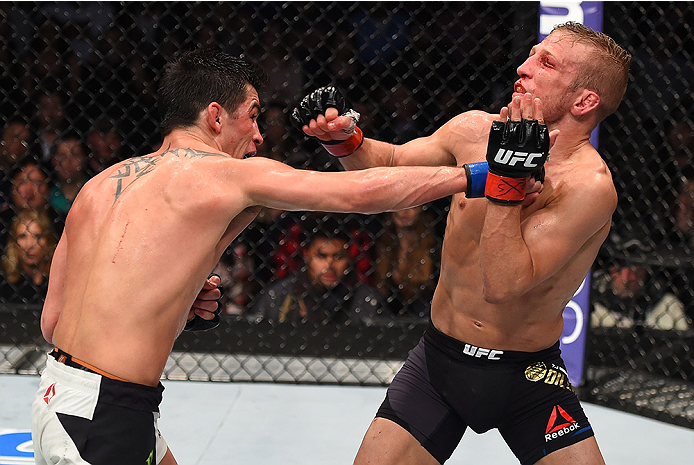 BOSTON, MA - JANUARY 17: (L-R) Dominick Cruz punches TJ Dillashaw in their UFC bantamweight championship bout during the UFC Fight Night event inside TD Garden on January 17, 2016 in Boston, Massachusetts. (Photo by Jeff Bottari/Zuffa LLC/Zuffa LLC via G