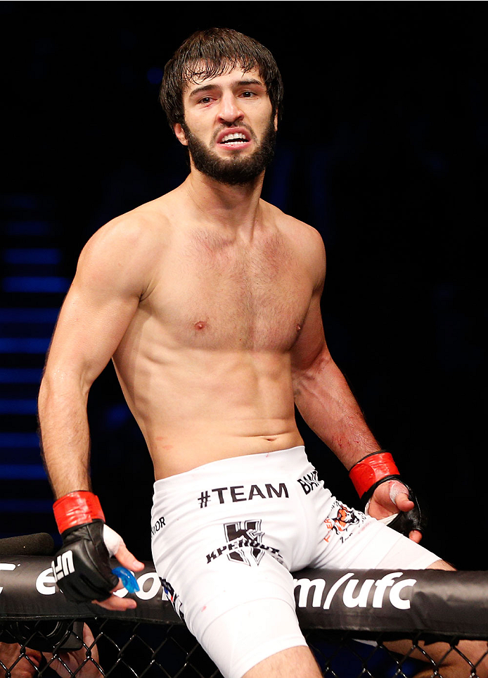 STOCKHOLM, SWEDEN - OCTOBER 04: Zubaira Tukhugov of Russia celebrates after his knockout victory over Ernest Chavez in their featherweight bout at the Ericsson Globe Arena on October 4, 2014 in Stockholm, Sweden. (Photo by Josh Hedges/Zuffa LLC/Zuffa LL