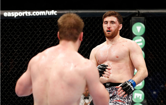 BERLIN, GERMANY - MAY 31: Ruslan Magomedov (R) fights Viktor Pesta during the Ruslan Magomedov vs. Viktor Pesta at UFC Fight Night Berlin event at O2 World on May 31, 2014 in Berlin, Germany. (Photo by Boris Streubel/Zuffa LLC/Zuffa LLC via Getty Images)