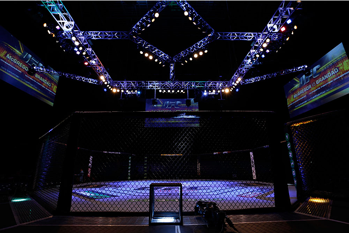 DUBLIN, IRELAND - JULY 19: A general view of the Octagon before the UFC Fight Night event at The O2 Dublin on July 19, 2014 in Dublin, Ireland. (Photo by Josh Hedges/Zuffa LLC/Zuffa LLC via Getty Images)