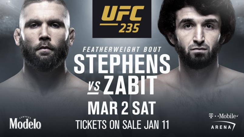Image result for ufc 235