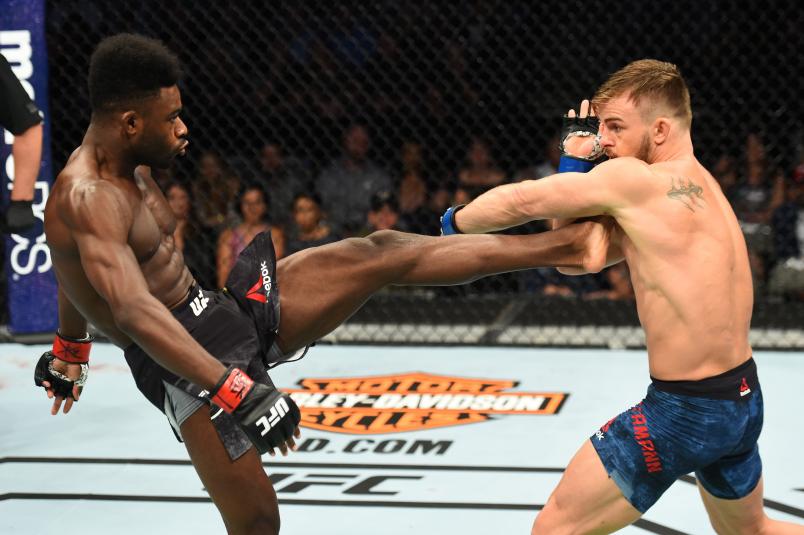DALLAS, TX - SEPTEMBER 08: (L-R) Aljamain Sterling kicks Cody Stamann in their bantamweight fight during the UFC 228 event at American Airlines Center on September 8, 2018 in Dallas, Texas. (Photo by Josh Hedges/Zuffa LLC/Zuffa LLC via Getty Images)