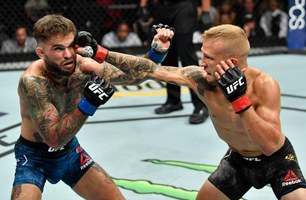 LOS ANGELES, CA - AUGUST 04: (R-L) TJ Dillashaw punches Cody Garbrandt in their UFC bantamweight championship fight during the UFC 227 event inside Staples Center on August 4, 2018 in Los Angeles, California. (Photo by Jeff Bottari/Zuffa LLC/Zuffa LLC via Getty Images)